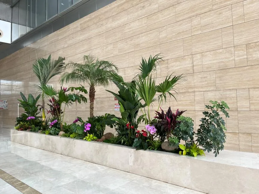 前湾植物租摆哪家好